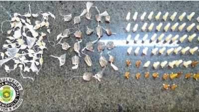 Equipe da Polícia Municipal apreende drogas na Comunidade ‘Green Ville’