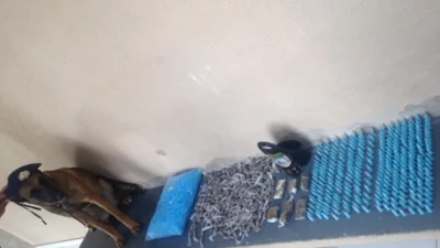 Maconha e cocaína são localizadas em mata no ‘Novo Cosmópolis’