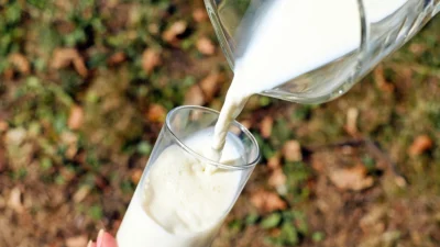 Falta de vitamina D pode causa câncer de mama