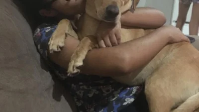 Meu animal, meu xodó
