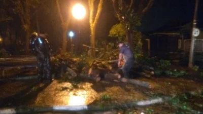 Fortes chuvas derrubam árvores em Cosmópolis e Defesa Civil alerta