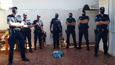 Cães Iron e Titan ajudam GMs a encontrarem drogas