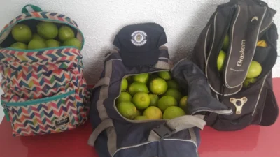 Três são detidos em flagrante pela GM por furtarem limões