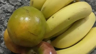Veganismo x Vegetarianismo