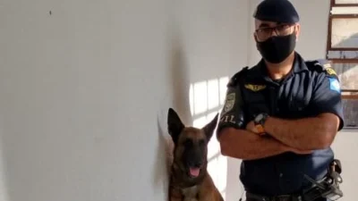 Entorpecentes são localizados pelo GOC – GM em comunidade