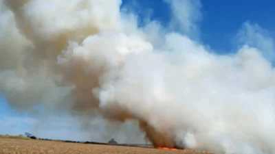 Fogo atinge vegetação às margens de rodovia