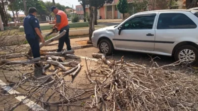 Queda de árvore causa danos materiais no Centro