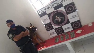 Dois são detidos e um acaba preso por tráfico de drogas pela Guarda Municipal