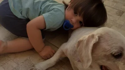 Viver com pets traz benefícios às crianças