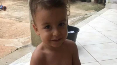 Meu animal, meu xodó