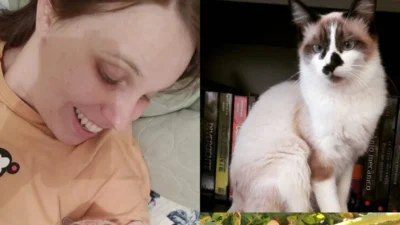 Meu animal, meu xodó