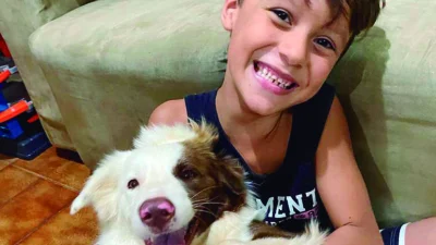 Meu animal, meu xodó