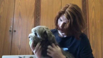 Meu animal, meu xodó