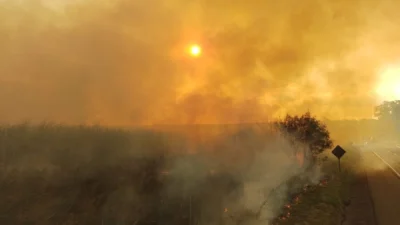 Incêndio às margens da rodovia destrói área extensa