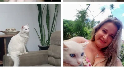 Meu animal, meu xodó