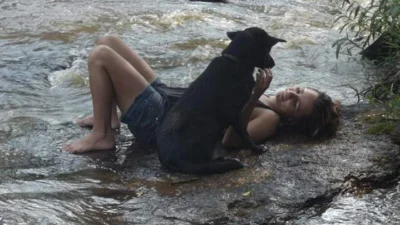 Meu animal, meu xodó
