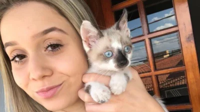 Meu animal, meu xodó