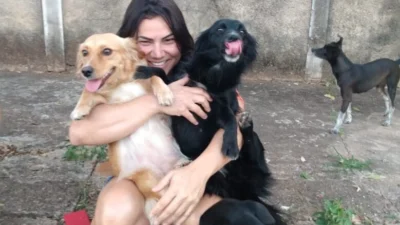 Meu animal, meu xodó
