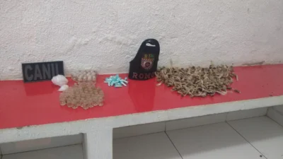 Mais de 600 porções de drogas são localizadas pelo Canil