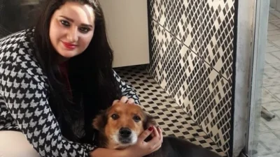 Meu animal, meu xodó
