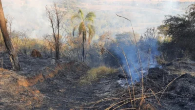 Incêndio de grandes proporções atinge mata no Recanto das Águas