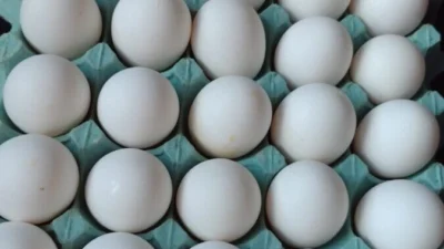 Saiba como introduzir a Vitamina D na sua dieta