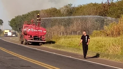Mato à beira da Rodovia SP 133 pega fogo