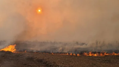 Defesa Civil trabalha em grande área atingida pelo fogo