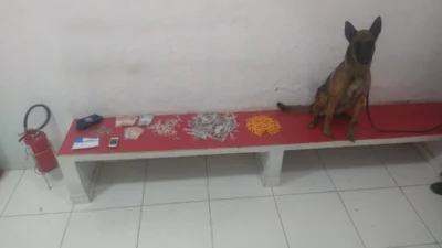 ROMU E GOC prendem suspeito de tráfico de entorpecentes