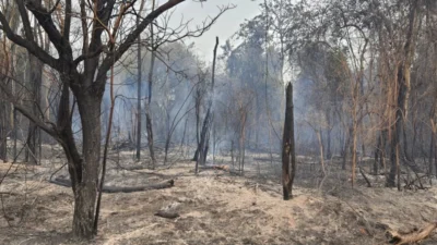 ARIE do Matão é atingida por novo incêndio
