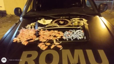 Indivíduo é preso acusado de tráfico de drogas