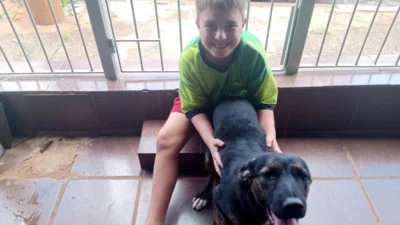 Meu animal, meu xodó