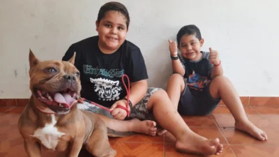 Meu animal, meu xodó