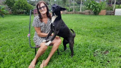 Meu animal, meu xodó
