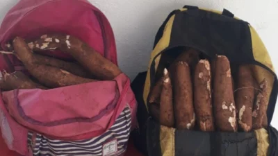 Dupla é presa após furtar quase 30 quilos de mandioca