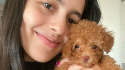 Meu animal, meu xodó