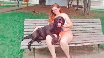 Meu animal, meu xodó