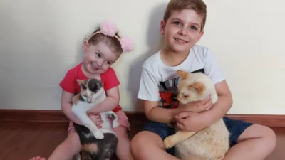 Meu animal, meu xodó
