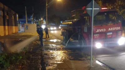 Responsável por cortar árvore e atear fogo em tronco é autuado