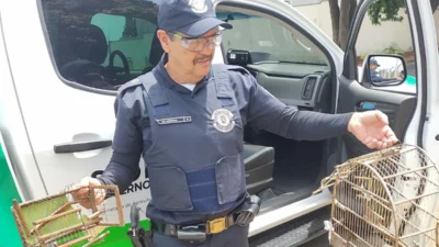 Equipe do GEPAR devolve pássaros à natureza
