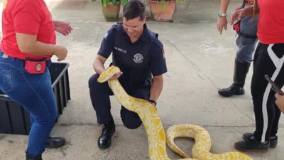 GM Deivid Gildo participa de curso de Animais Peçonhentos