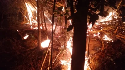 Queimada é crime e deve ser denunciada