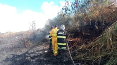 Defesa Civil e brigadistas da ‘Usina Ester’ combatem incêndio em mata no ‘Paredão’