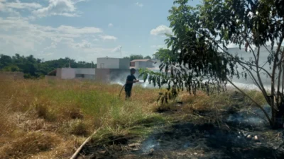 Fogo próximo a residências é contido pela Defesa Civil