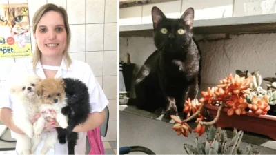 Você sabe o que são animais de apoio emocional?