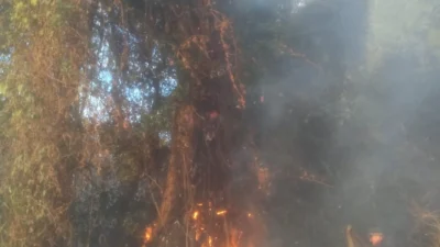 Defesa Civil e GEPAR combatem incêndio em área de mata ciliar