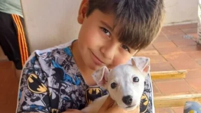 Meu animal, meu xodó