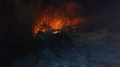 Incêndio atinge área de mata às margens da Rodovia SP 133