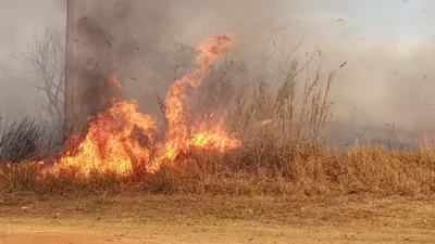 Defesa Civil combate fogo em área de mata na SP 133