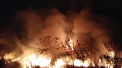 Incêndio atinge mata na Lagoa da Cosmo
